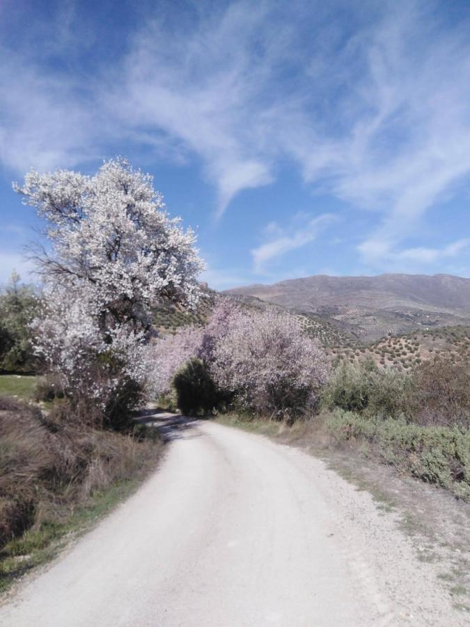 El Convento Vivienda Rural Jaen Andalucia Espana Carchelejo Екстер'єр фото